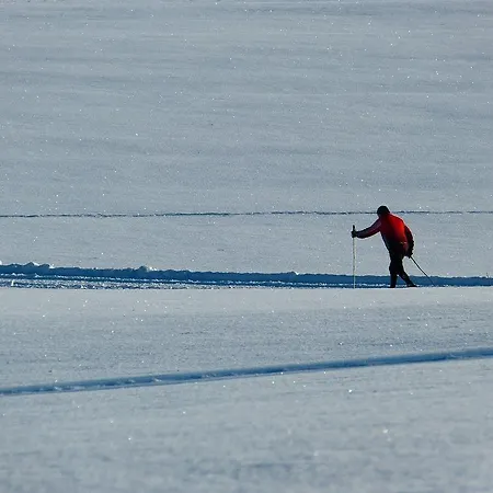 Landhaus Luenerhof *