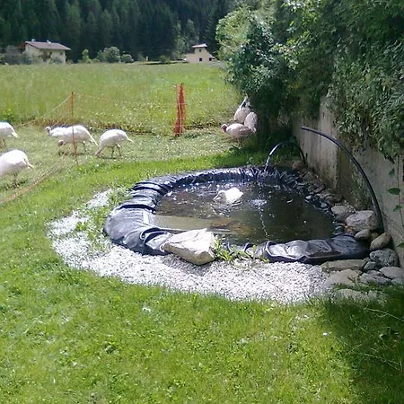 Luenerhof Country house Neustift im Stubaital