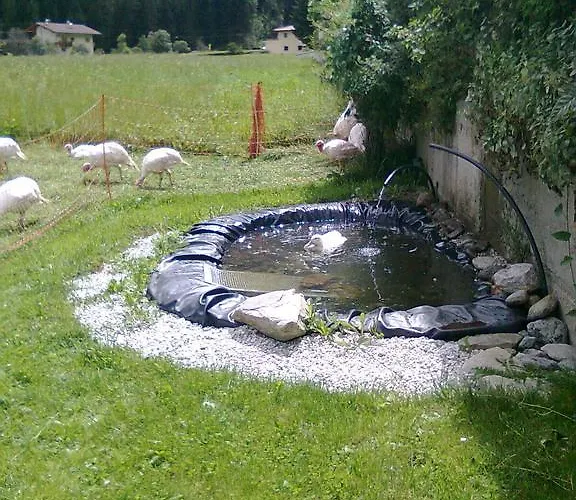 Luenerhof Εξοχικό σπίτι Neustift im Stubaital